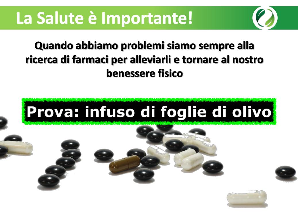 INFISO FOGLIE DI OLIVO